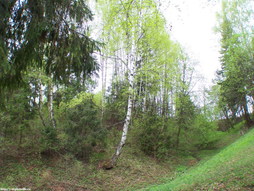 29398 (a): :1024x768